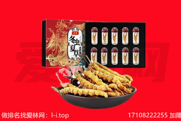 北京通州区回收虫草.jpg